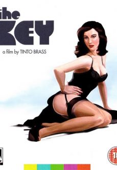 Tinto Brass Filmi The Key Türkçe Dublaj İzle