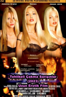 Tehlikeli Çakma Sarışınlar (2004) Full HD Erotik Film izle